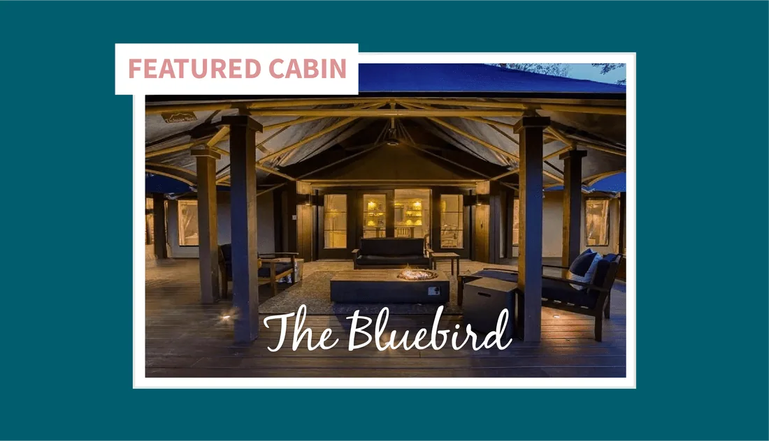 Beaver Cabin